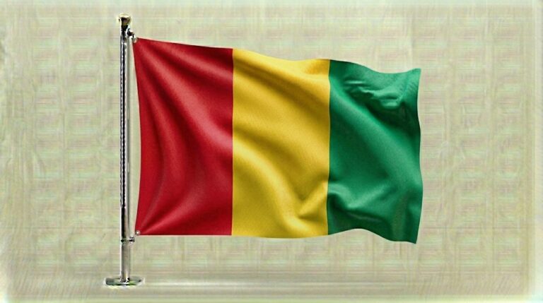 Guinea flag waving 202604090641