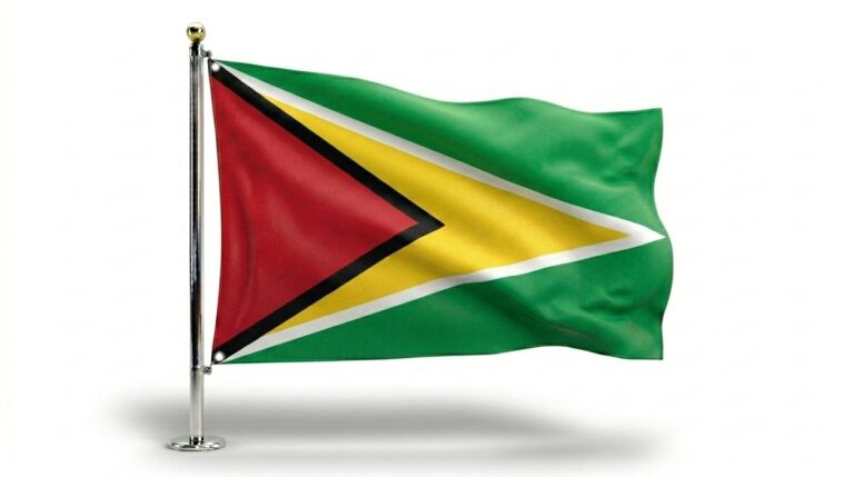 Guyana 1 Guyana flag 202604121144